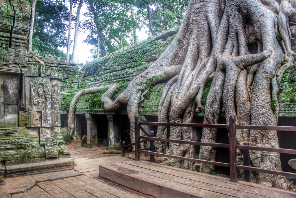 Ta Prohm temple