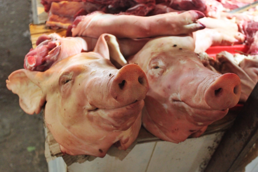 BIZARRE FOOD MARKET, Siem Reap, Cambodia