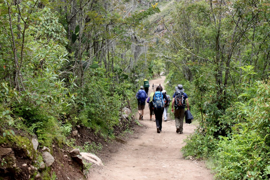 Hiking the inca trail