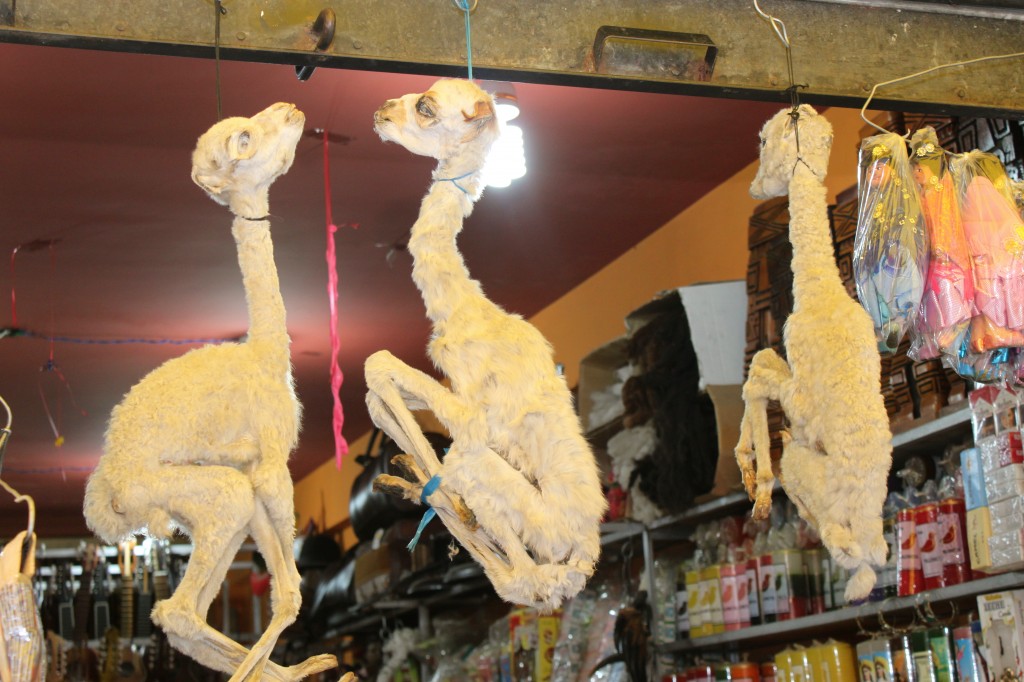 Witches market, La Paz, Bolivia