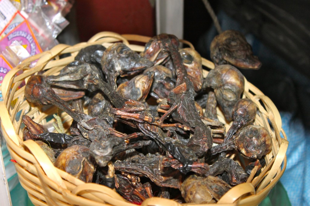 Witches market, La Paz, Bolivia