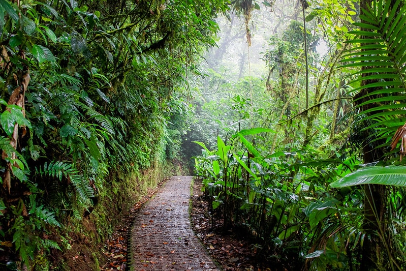10 epic things to do in Monteverde Cloud Forest, Costa Rica