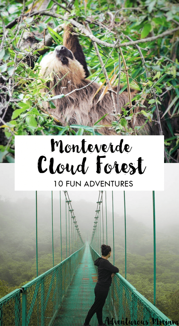 Monteverde Cloud Forest Reserve in Costa Rica is a cool place with mist, hanging bridges and wildlife. Want some inspiration for your Monteverde trip? Get it here.