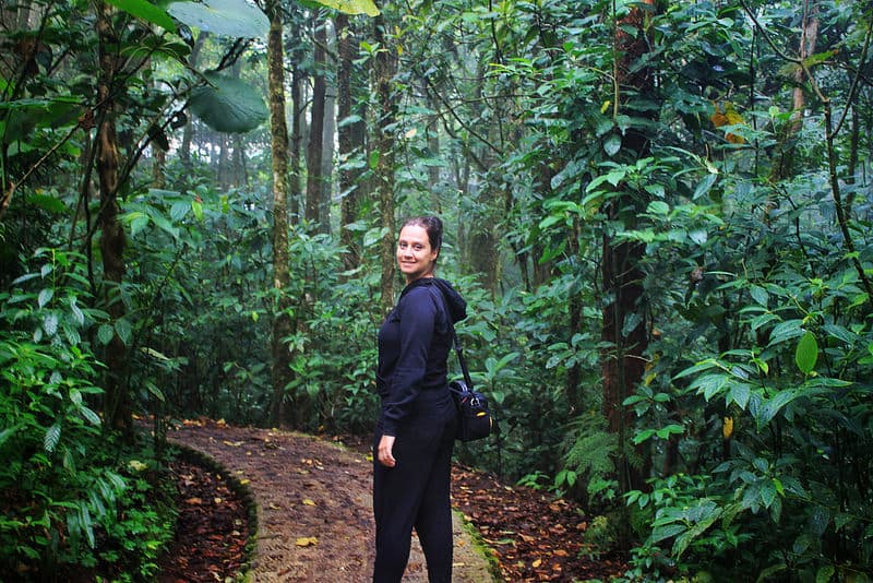 Monteverde Cloud Forest