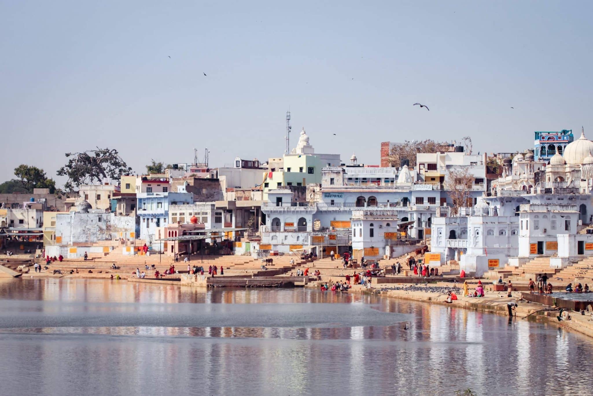 Pushkar