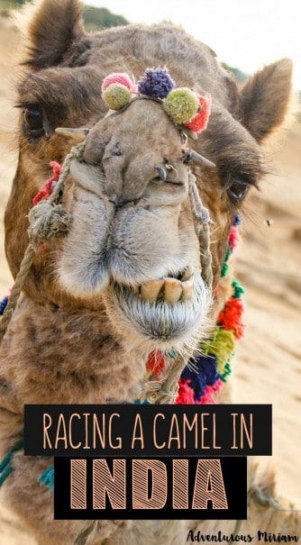 Travel story: Racing a camel across the desert in Rajasthan, India