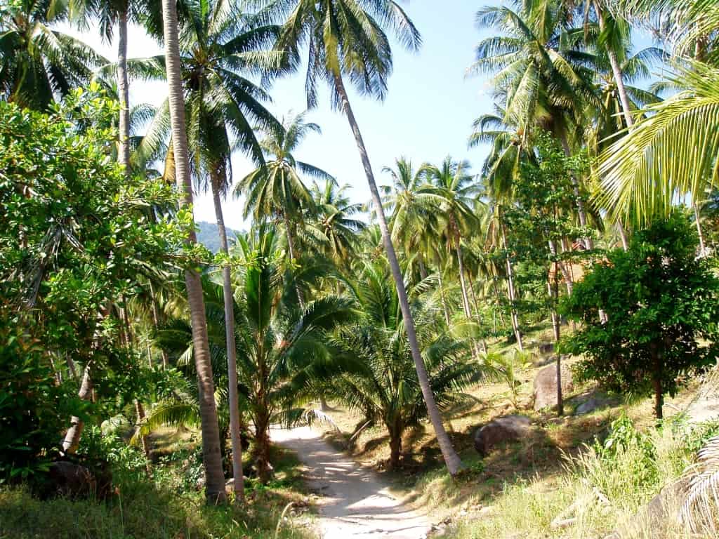 Koh Tao, Thailand