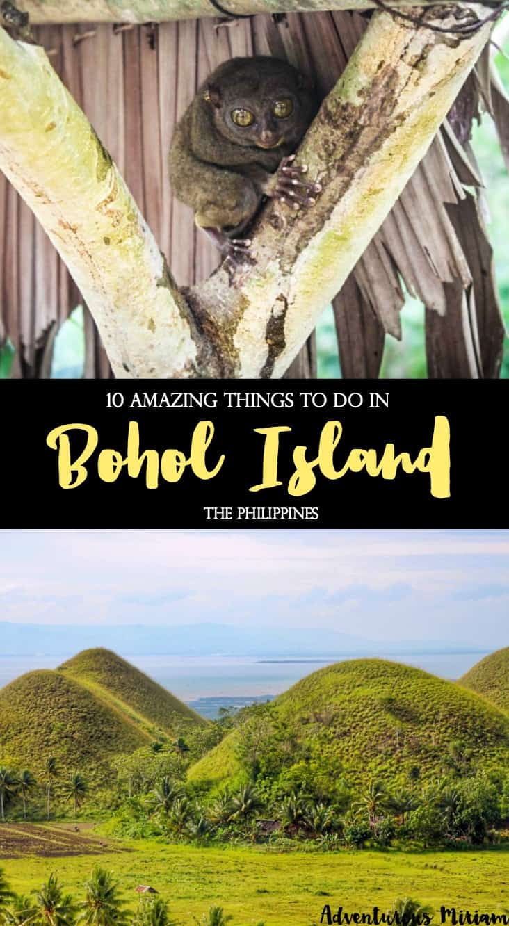 Going to Bohol and wondering what to see and do on the island? Here are 10 fun things to do in Bohol, the Philippines.