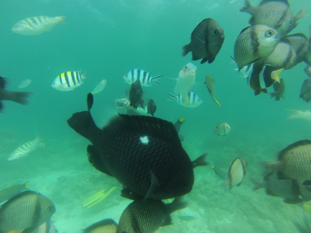 helmet diving boracay