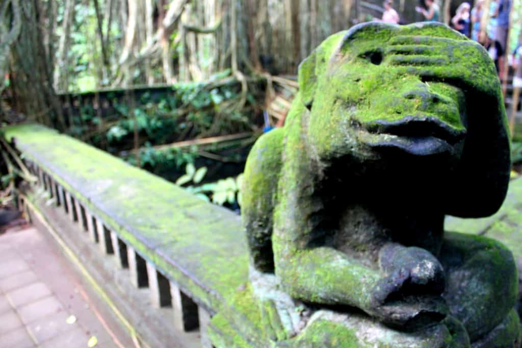 Ubud Monkey Forest tips