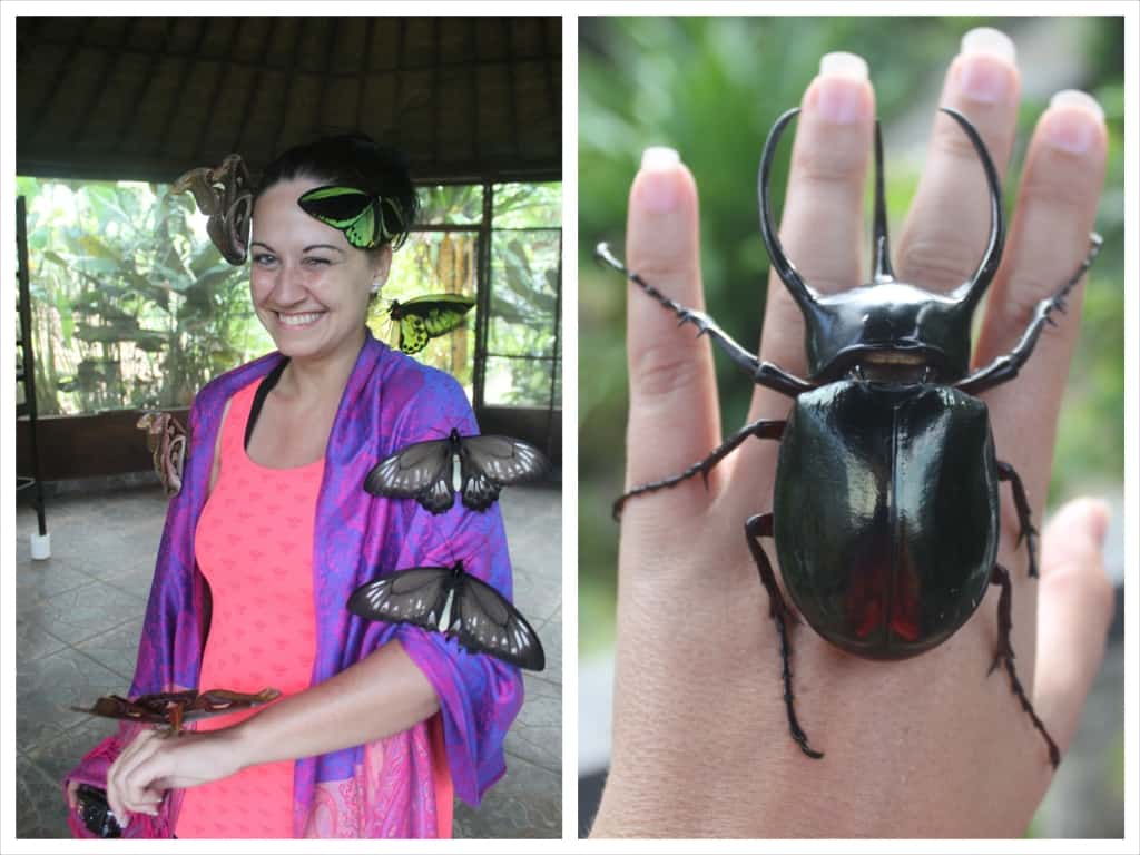 Visiting the Butterfly Park