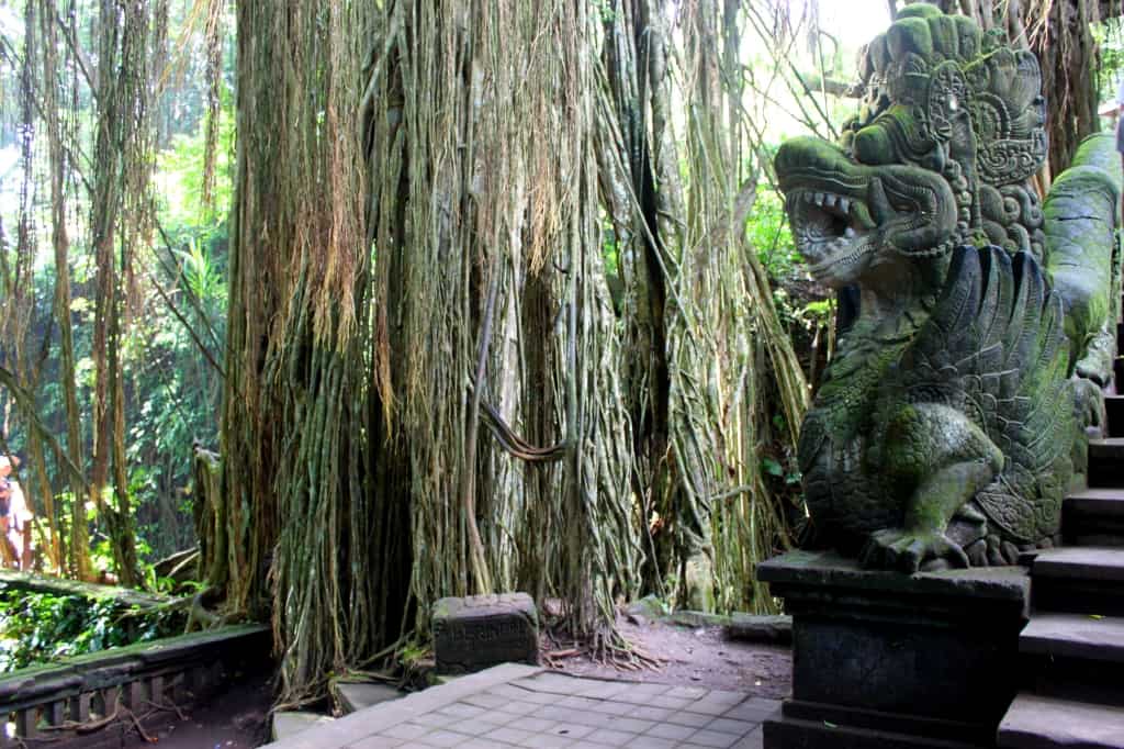 Ubud Monkey Forest tips