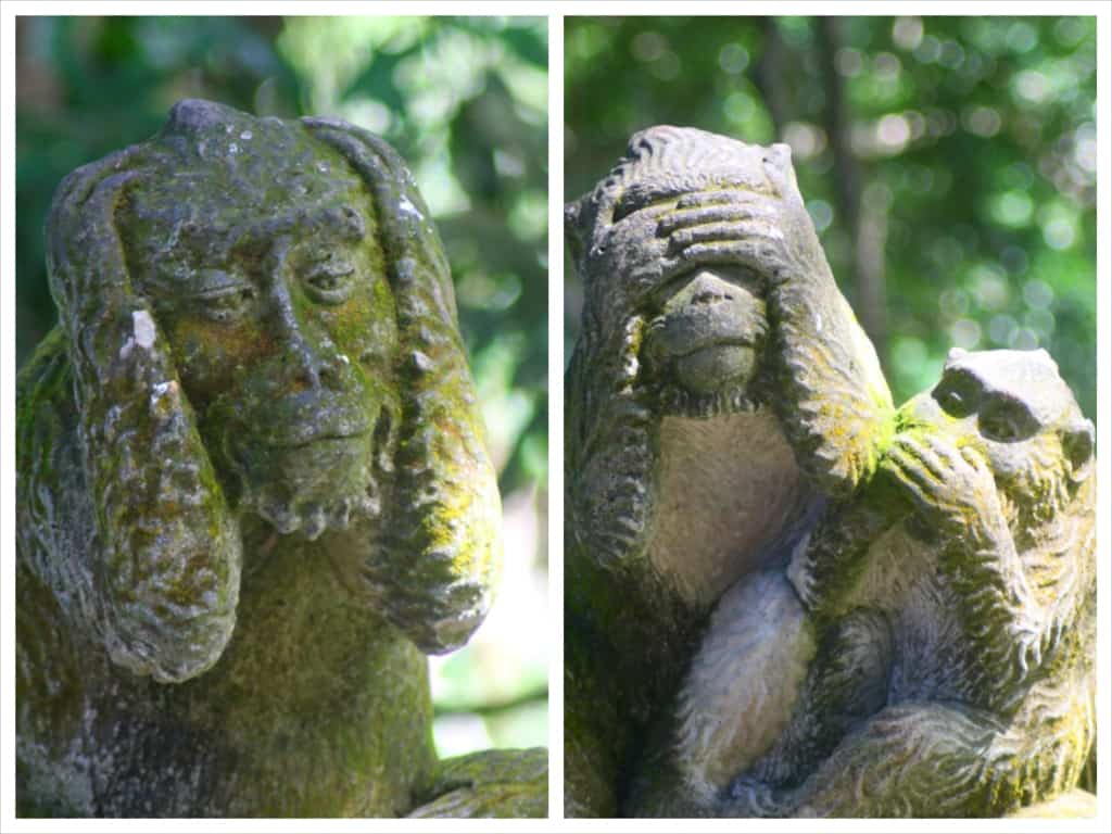 Ubud Monkey Forest, Bali