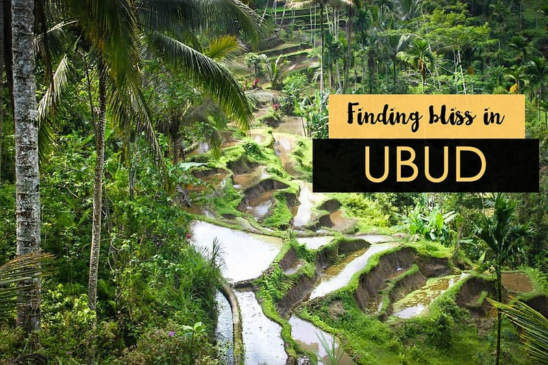 The perfect 3 days in Ubud itinerary