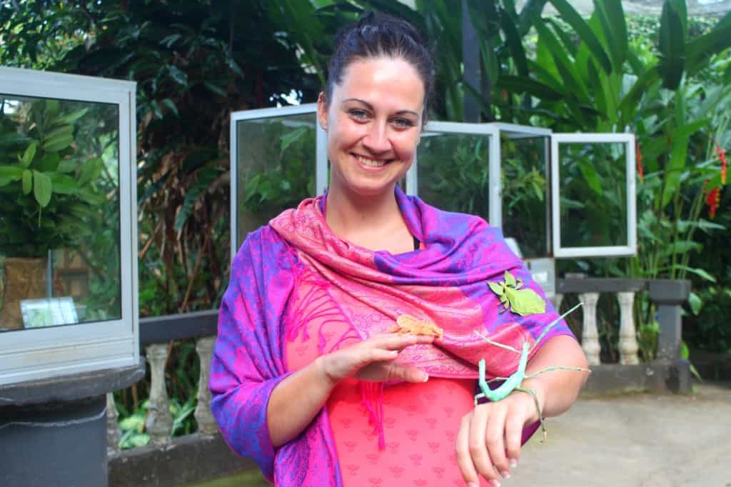 Butterfly farm, Bali, Indonesia