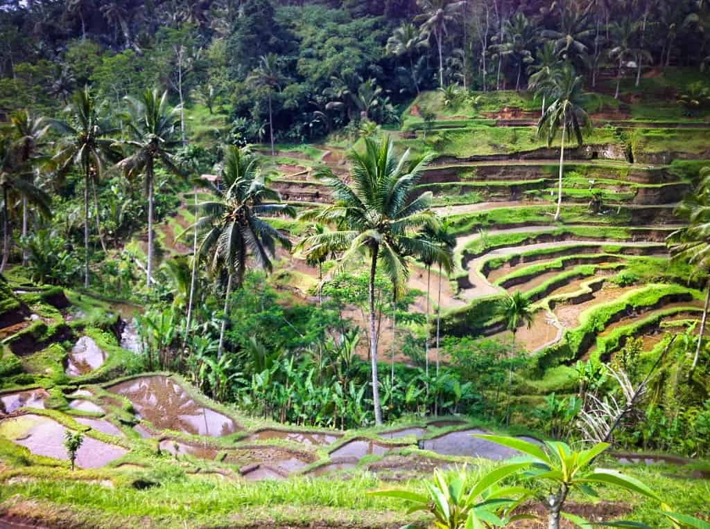 Bali itinerary ubud