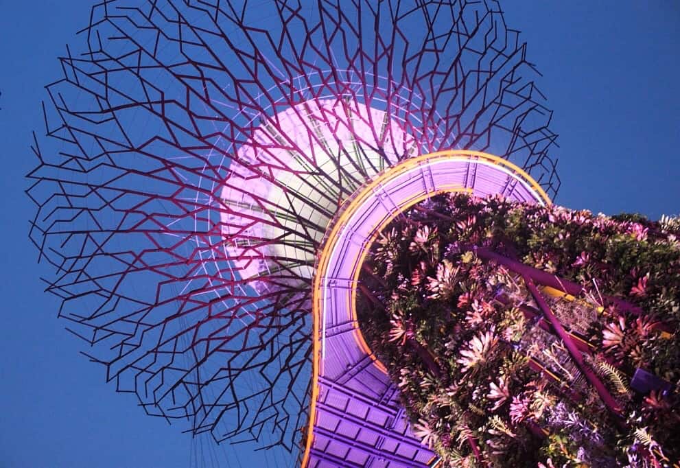 Gardens by the bay, Singapore