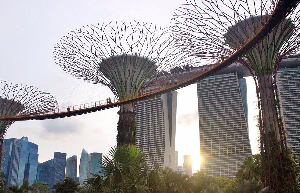 Gardens by the bay, Singapore