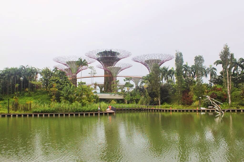 Gardens by the bay, Singapore