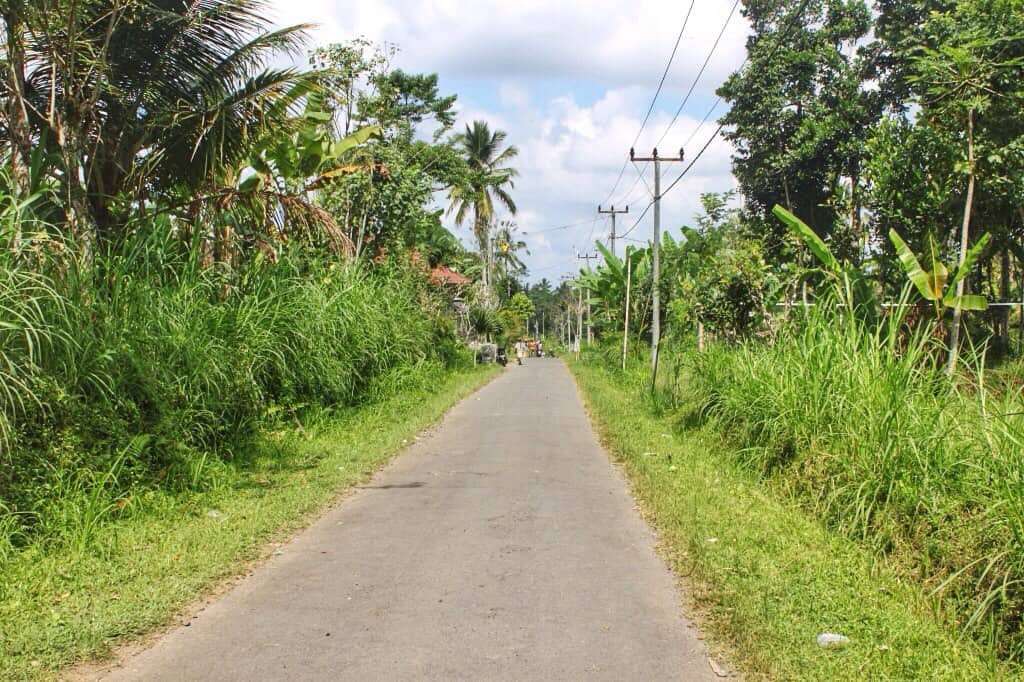 Bike tour in Bali