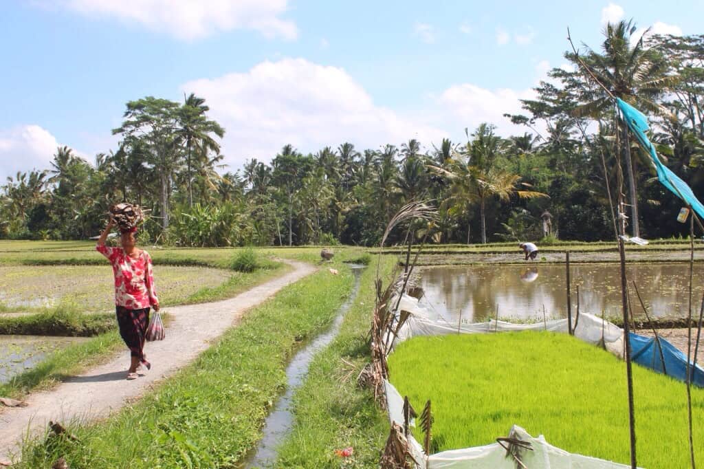 Bike tour in Bali