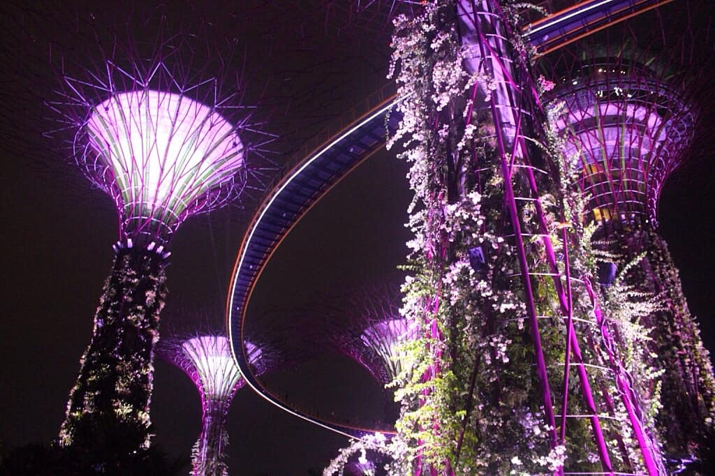 Gardens by the bay, Singapore