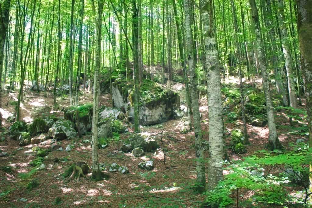 Hiking and Biking at Lake Bohinj