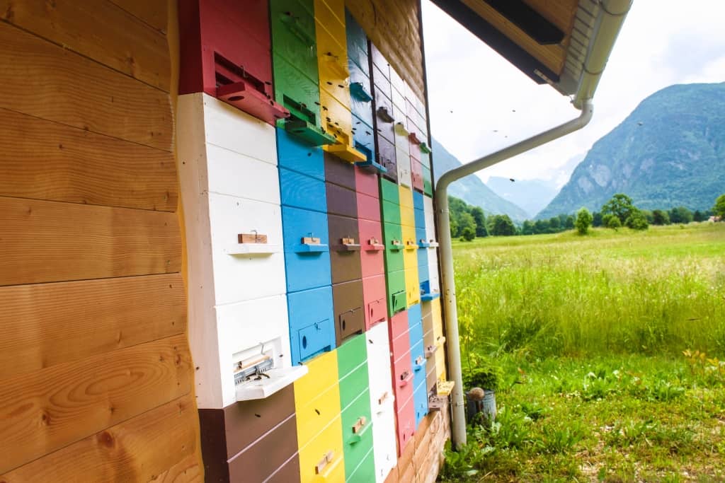 Soca valley, Slovenia