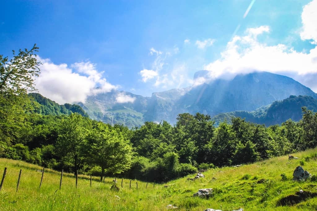 Meadows in Soca valley, Slovenia