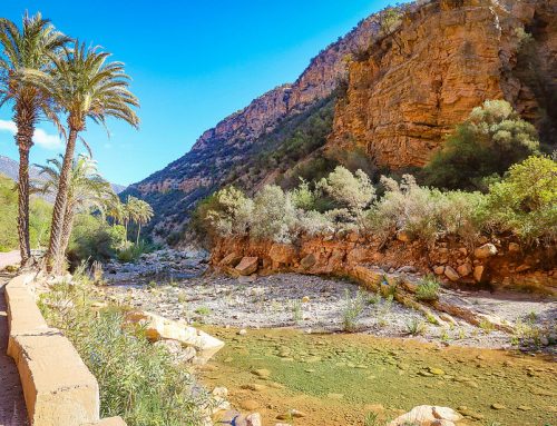 Day trip to High Atlas Mountains – finding an oasis in Morocco
