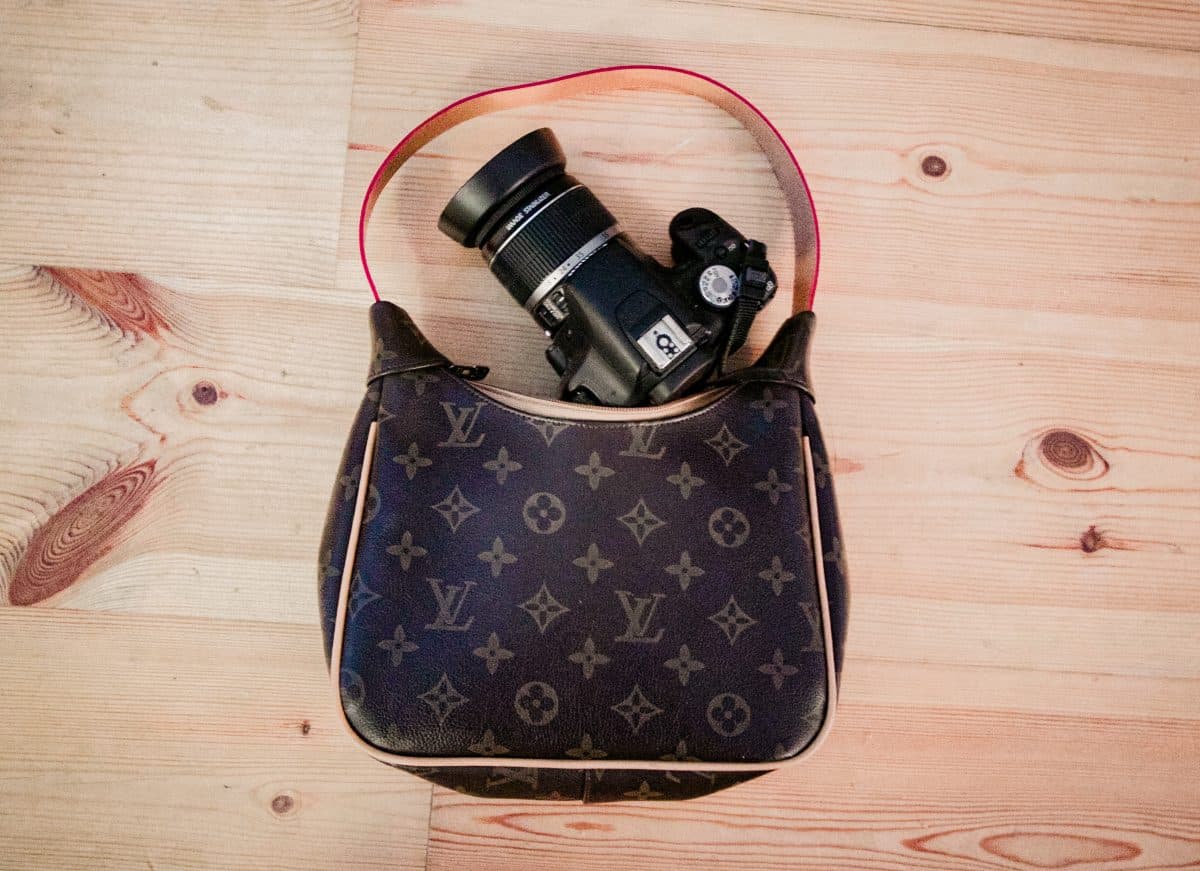 feminine camera bag