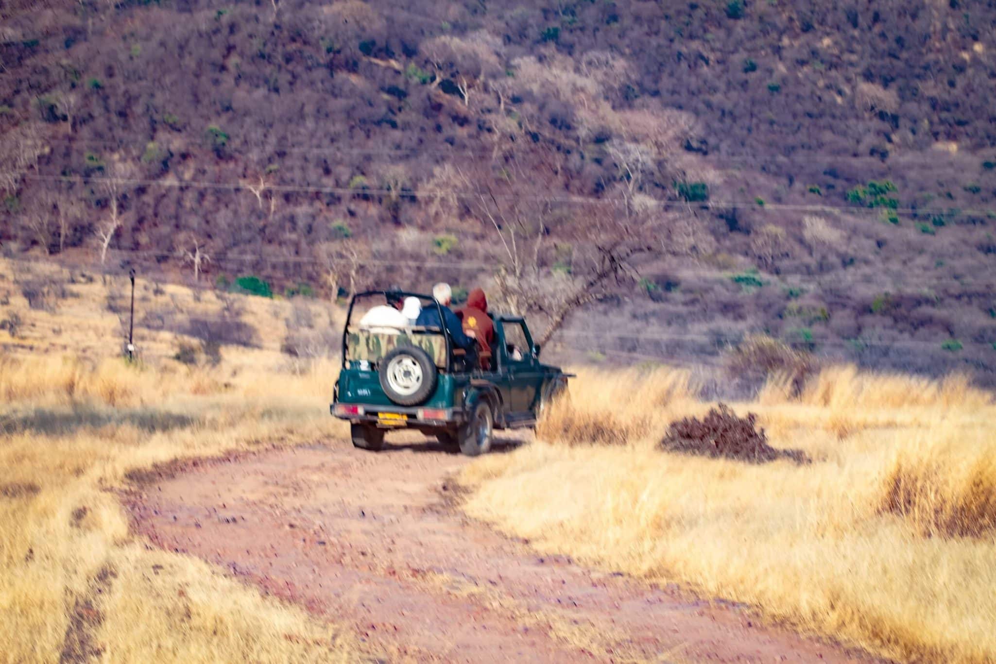 Ranthambore tiger safari