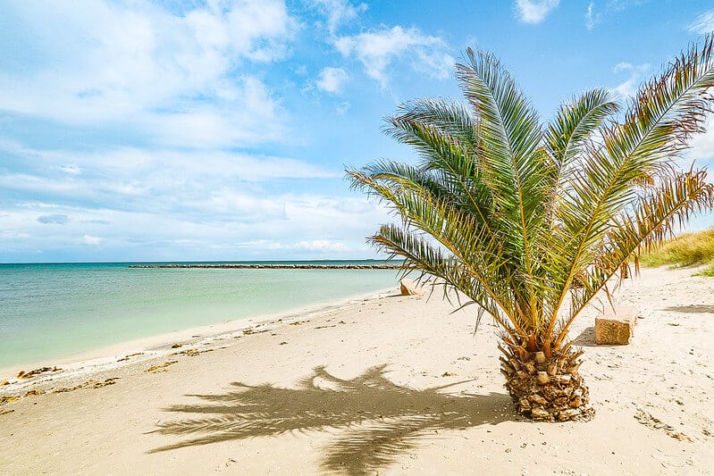 Beaches in Denmark