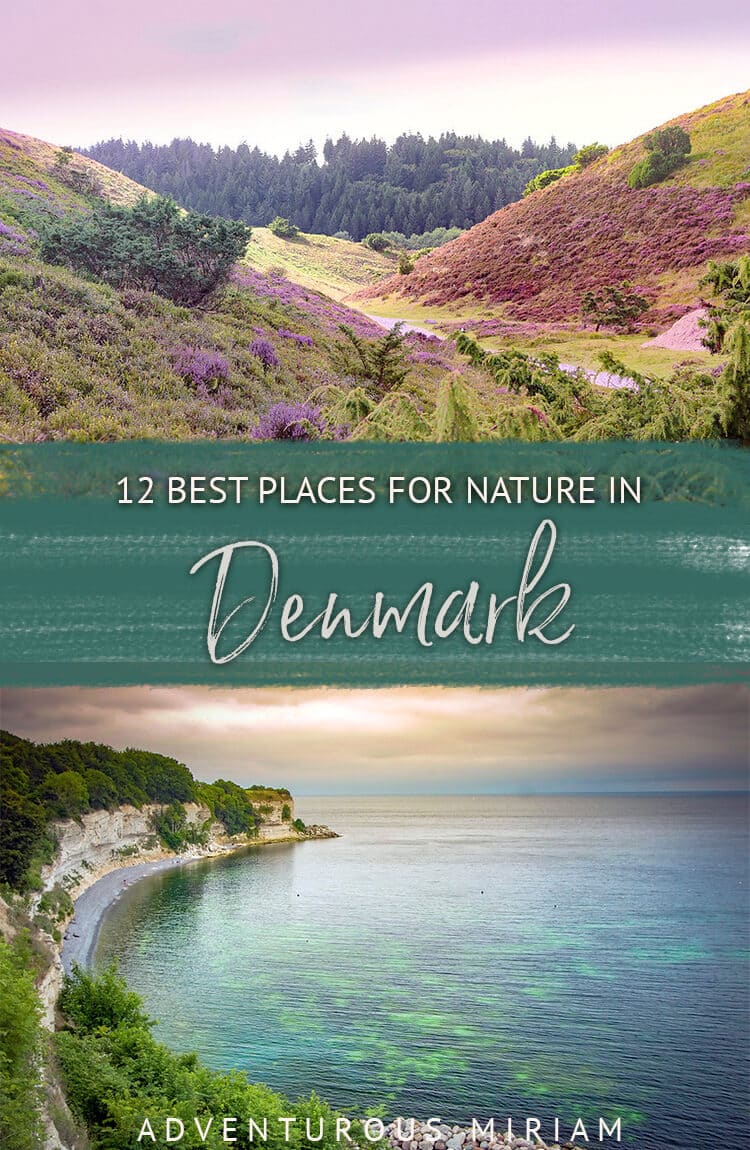 Looking for the best nature in Denmark? Get off the beaten track and discover 12 of the must-see nature sights Denmark has to offer.
