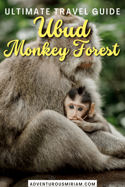 Looking for epic Ubud Monkey Forest tips? Get them right here along with how to get there, what to see and safety advice.