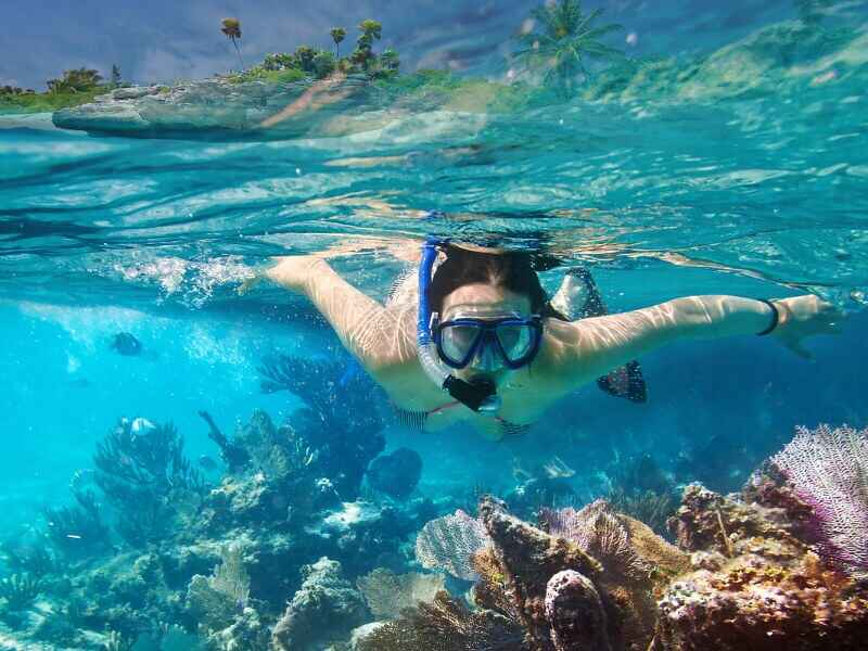 10 best Roatan snorkeling tours in 2024 you shouldn’t miss