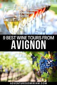 avalon wine tours