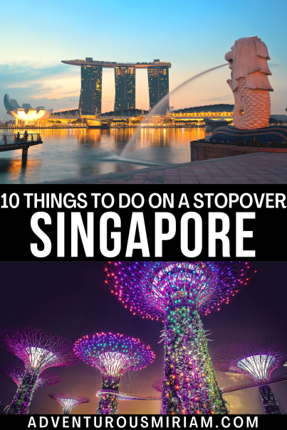 Got a layover in Singapore? Check out this practical guide for the best ways to spend your time. Explore local markets, take a quick stroll through the Botanic Gardens, or grab a bite at a nearby Hawker Centre. This list is packed with easy, enjoyable activities that fit into your layover schedule. Dive into the heart of Singapore, even with limited time! #SingaporeStopover #LayoverTips #TravelSingapore