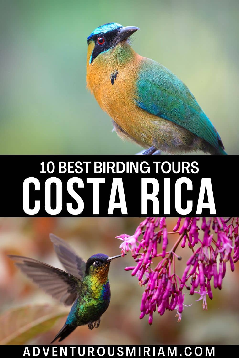 bird watching tours in costa rica